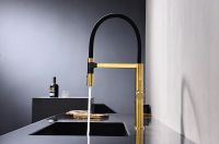 Смеситель для кухни Paulmark Leader Le214101-BG Брашированное золото — фото 3, Смесители для кухни