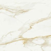 Товар: Керамогранит STN P.E. Pul. Camile gold rect. 120х120 см - фото 5 Керамогранит STN P.E. Pul. Camile gold rect. 120х120 см — фото 5, Керамогранит