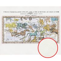 Фреска Ortograf Карты мира 30089 Фактура флок FLK Флизелин (3,4*2,7) Разноцветный, Карты/Животные арт-30089 (флок FLK) — фото 1, Фрески