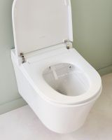 Товар: Комплект унитаза биде с инсталляцией Jacob Delafon Seine E34360-00 с сиденьем Микролифт и Белой глянцевой клавишей смыва - фото 21 Комплект унитаза биде с инсталляцией Jacob Delafon Seine E34360-00 с сиденьем Микролифт и Белой глянцевой клавишей смыва — фото 21, Умные унитазы