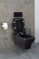 Товар: Унитаз Allen Brau Infinity 4.21011.31 подвесной Черный матовый без сиденья - фото 55 Унитаз Allen Brau Infinity 4.21011.31 подвесной Черный матовый без сиденья — фото 55, Подвесные унитазы