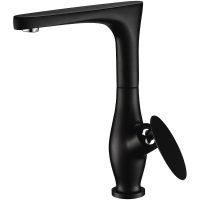 Смеситель для кухни Kaiser Star 02044-2 Черный матовый — фото 1, Смесители