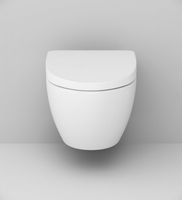 Комплект унитаза с инсталляцией AM.PM Awe IS49001.111738 с сиденьем Микролифт и Белой клавишей смыва — фото 5, Комплекты унитаз + инсталляция