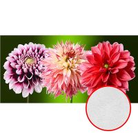 Фотообои Divino T-071 Фактура живопись Винил на флизелине (2*1,47) Розовый/Зеленый, Цветы — фото 1, Обои для стен