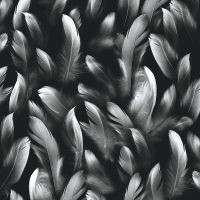 Товар: Фреска Ortograf Levity 33363 Фактура флок FLK Флизелин (2,7*2,7) Черный/Белый, Перья - фото 2 Фреска Ortograf Levity 33363 Фактура флок FLK Флизелин (2,7*2,7) Черный/Белый, Перья — фото 2, Фрески