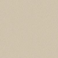 Обои Andrea Grifoni Palazzo Peterhof 7008-4 Флизелин (1,06*10,05) Бежевый, Однотонные — фото 1, Обои для стен
