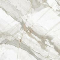 Керамогранит Гранитея Neiva коричневый полированный G394 60х60 см — фото 1, Керамогранит