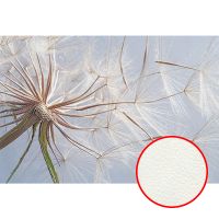 Фреска Ortograf Цветы 4125 Фактура флок FLK Флизелин (4*2,7) Голубой/Белый/Бежевый, Цветы — фото 1, Фрески