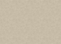 Обои Grandeco Ciara A 53704 Винил на флизелине (0,53*10,05) Коричневый/Серый, Штукатурка — фото 2, Обои для стен