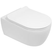 Унитаз SSWW CT2039V подвесной с сиденьем Микролифт — фото 1, Унитазы