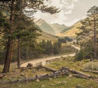 Фреска Ortograf Горы 30934 Фактура флок FLK Флизелин (3*2,7) Зеленый/Бежевый, Горы/Пейзаж/Природа — фото 2, Фрески