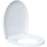 Товар: Унитаз Aquanet ZV-1 303977 подвесной с сиденьем Микролифт - фото 17 Унитаз Aquanet ZV-1 303977 подвесной с сиденьем Микролифт — фото 17, Подвесные унитазы