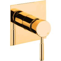 Смеситель для душа Webert Rimini RI880101010 Золото — фото 1, Смесители