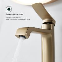 Товар: Смеситель для раковины Splenka S31.10.03 Золото матовое - фото 3 Смеситель для раковины Splenka S31.10.03 Золото матовое — фото 3, Смесители для раковины