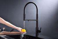 Смеситель для кухни Paulmark Tornado To213402-401 Антрацит — фото 7, Смесители для кухни