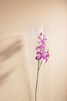 Обои Milassa Neo Classic Neo5 001 Флизелин (1*10,05) Белый, Геометрия — фото 2, Обои для стен