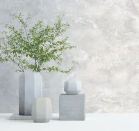 Обои Артекс New Look 4 10607-02 Винил на флизелине (1,06*10,05) Бежевый, Штукатурка — фото 3, Обои для стен