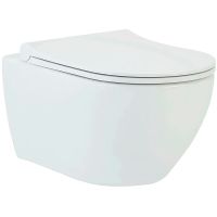 Унитаз биде beWash Bogen 88303601 подвесной Белый глянец с сиденьем Микролифт — фото 1, Унитазы