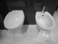 Товар: Смеситель для биде Jacob Delafon Purist Хром арт-E14434-4A-CP - фото 2 Смеситель для биде Jacob Delafon Purist Хром арт-E14434-4A-CP — фото 2, Смесители для биде