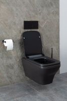 Товар: Унитаз Allen Brau Infinity 4.21011.31 подвесной Черный матовый без сиденья - фото 54 Унитаз Allen Brau Infinity 4.21011.31 подвесной Черный матовый без сиденья — фото 54, Подвесные унитазы