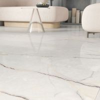 Керамогранит Ariana Epoque 21 Lilac White Ant PF60009343 60x120 см — фото 4, Керамогранит