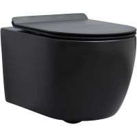 Унитаз Aquanet Cetus-BW Rimless 287008 подвесной с сиденьем Микролифт — фото 1, Подвесные унитазы