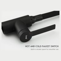 Смеситель для кухни Frap H67-6 F4067-6 Черный матовый — фото 5, Смесители для кухни