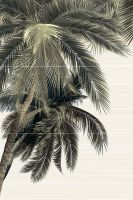 Керамическое панно Alma Ceramica Del Mare PWU09DLM3 50х74,7 см — фото 1, Керамическая плитка