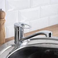 Смеситель для кухни Ростовская Мануфактура Сантехники SL55-004F-25 Хром — фото 10, Смесители