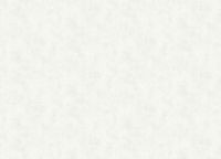 Обои Grandeco Time 3 TJ 3003 Винил на флизелине (1,06*10,05) Серый/Белый, Штукатурка — фото 2, Обои для стен