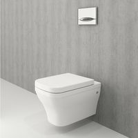 Унитаз Bocchi Firenze 1304-001-0128 подвесной без сиденья — фото 2, Унитазы