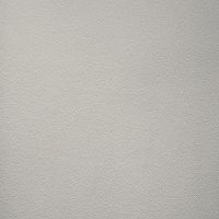 Обои Andrea Rossi Gavi 54377-4 Винил на флизелине (1,06*10) Серый, Однотонные — фото 1, Обои для стен