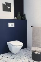 Товар: Унитаз Jacob Delafon Modern Life E77725-0 подвесной без сиденья - фото 7 Унитаз Jacob Delafon Modern Life E77725-0 подвесной без сиденья — фото 7, Подвесные унитазы