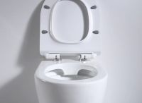 Унитаз beWash Aldo BKFSR001565 приставной с сиденьем Микролифт — фото 9, Унитазы