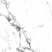 Товар: Керамогранит Arcadia Ceramica Borghini silver CR4006-A 60х60 см - фото 2 Керамогранит Arcadia Ceramica Borghini silver CR4006-A 60х60 см — фото 2, Керамогранит