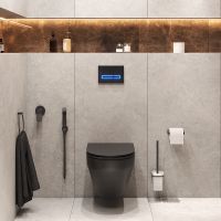 Комплект унитаза с инсталляцией AM.PM Spirit CK70GH Черный матовый с сиденьем Микролифт с Черной глянцевой клавишей смыва с гигиеническим душем и аксессуарами для ванной комнаты — фото 2, Комплекты унитаз + инсталляция