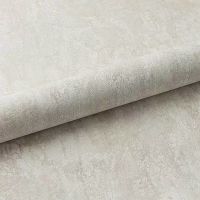 Обои Fipar Modelli Magici R 11773 Винил на флизелине (1,06*10,05) Бежевый, Штукатурка — фото 2, Обои для стен