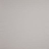 Товар: Обои Caselio Flower Power 64521682 Винил на флизелине (0,53*10,05) Бежевый, Однотонные - фото 1 Обои Caselio Flower Power 64521682 Винил на флизелине (0,53*10,05) Бежевый, Однотонные — фото 1, Обои для стен