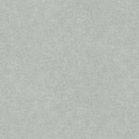 Обои AS Creation Amber Винил на флизелине (1,06*10,05) Серый, Однотонные арт-39598-7 — фото 1, Обои для стен