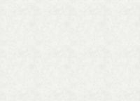 Обои Marburg Memoria 30366 Винил на флизелине (1,06*10,05) Бежевый/Белый, Штукатурка — фото 2, Обои для стен