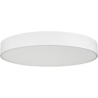 Потолочный светильник Arlight Tor Pill 022133(4) Белый — фото 1, Накладные светильники