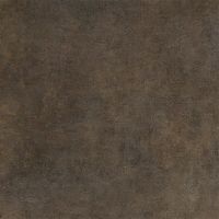 Керамогранит Porcelain Gres Radical Shabby Brown X1010271X6 100х100 см — фото 1, Керамогранит