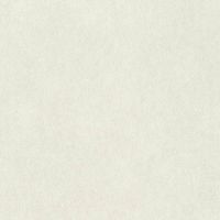 Обои RASCH Raymond 957327 Винил на флизелине (1,06*10,05) Бежевый, Штукатурка — фото 1, Обои для стен