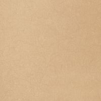 Обои Bernardo Bartalucci Legend 5068-81 Флизелин (1,06*10) Бежевый, Однотонные — фото 1, Обои для стен