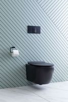 Унитаз Aquanet Cetus-BW Rimless 287008 подвесной с сиденьем Микролифт — фото 15, Подвесные унитазы