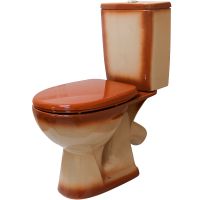 Унитаз компакт Rosa Уют 4630055558797 Коричневый декор с бачком и сиденьем — фото 1, Напольные унитазы