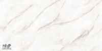 Керамогранит NT Ceramiс Marmo Empire Pearl Endless NTT99525P 60х120 см — фото 1, Керамогранит