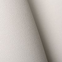 Обои Andrea Rossi Spectrum Pro 54383-8 Винил на флизелине (1,06*10) Бежевый, Однотонные — фото 2, Обои для стен