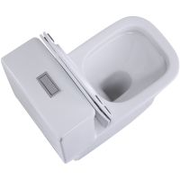 Товар: Унитаз моноблок SantiLine SL-5024 с бачком и сиденьем Микролифт - фото 7 Унитаз моноблок SantiLine SL-5024 с бачком и сиденьем Микролифт — фото 7, Напольные унитазы