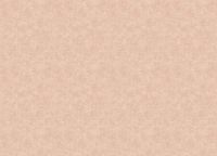 Обои Grandeco Ciara A 53710 Винил на флизелине (0,53*10,05) Розовый, Штукатурка — фото 2, Обои для стен